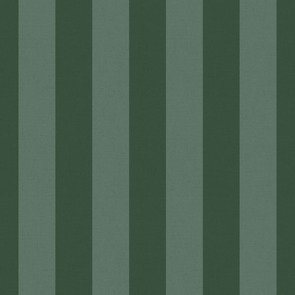 LINEAS VERDE Murales de Vinilo Autoadhesivos