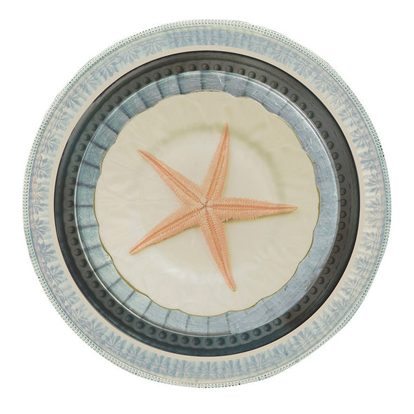 Plato Autoadhesivo PLAYA ESTRELLA
