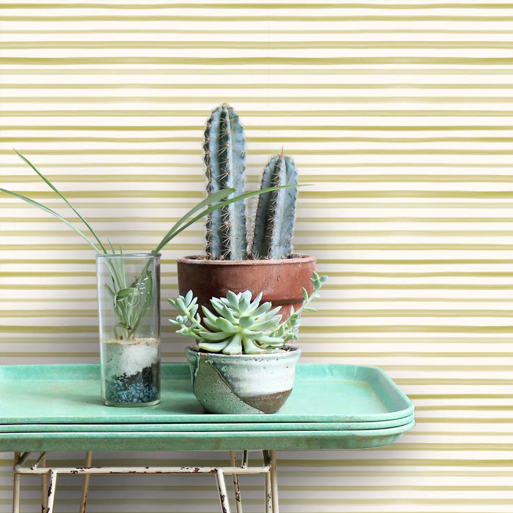 RAYAS AMARILLO Murales de Vinilo Autoadhesivos